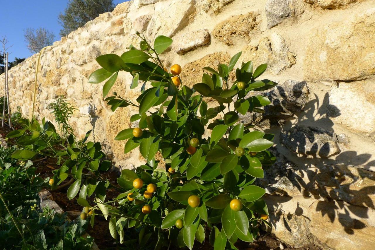 베예데라프론테라 Finca Du Ressourcement Higueron 아파트 외부 사진