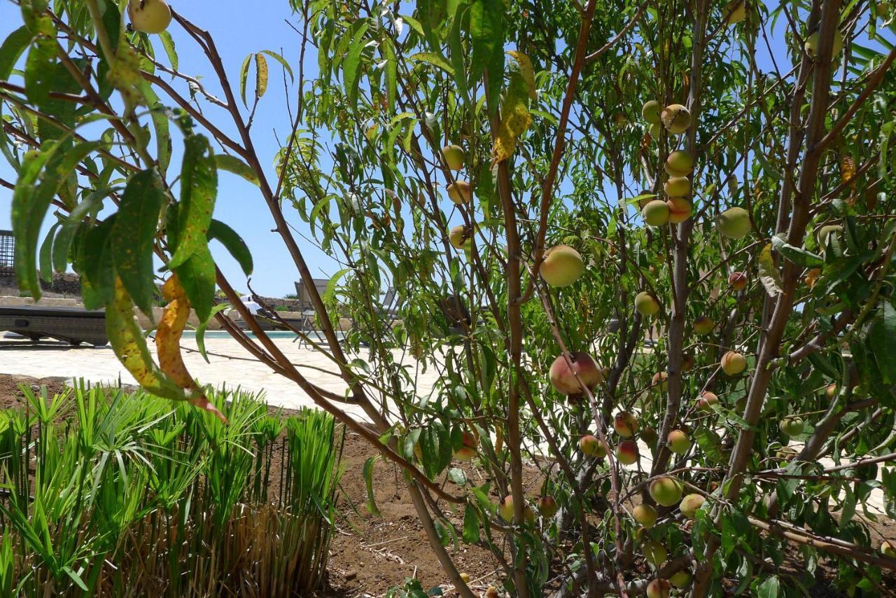 베예데라프론테라 Finca Du Ressourcement Higueron 아파트 외부 사진